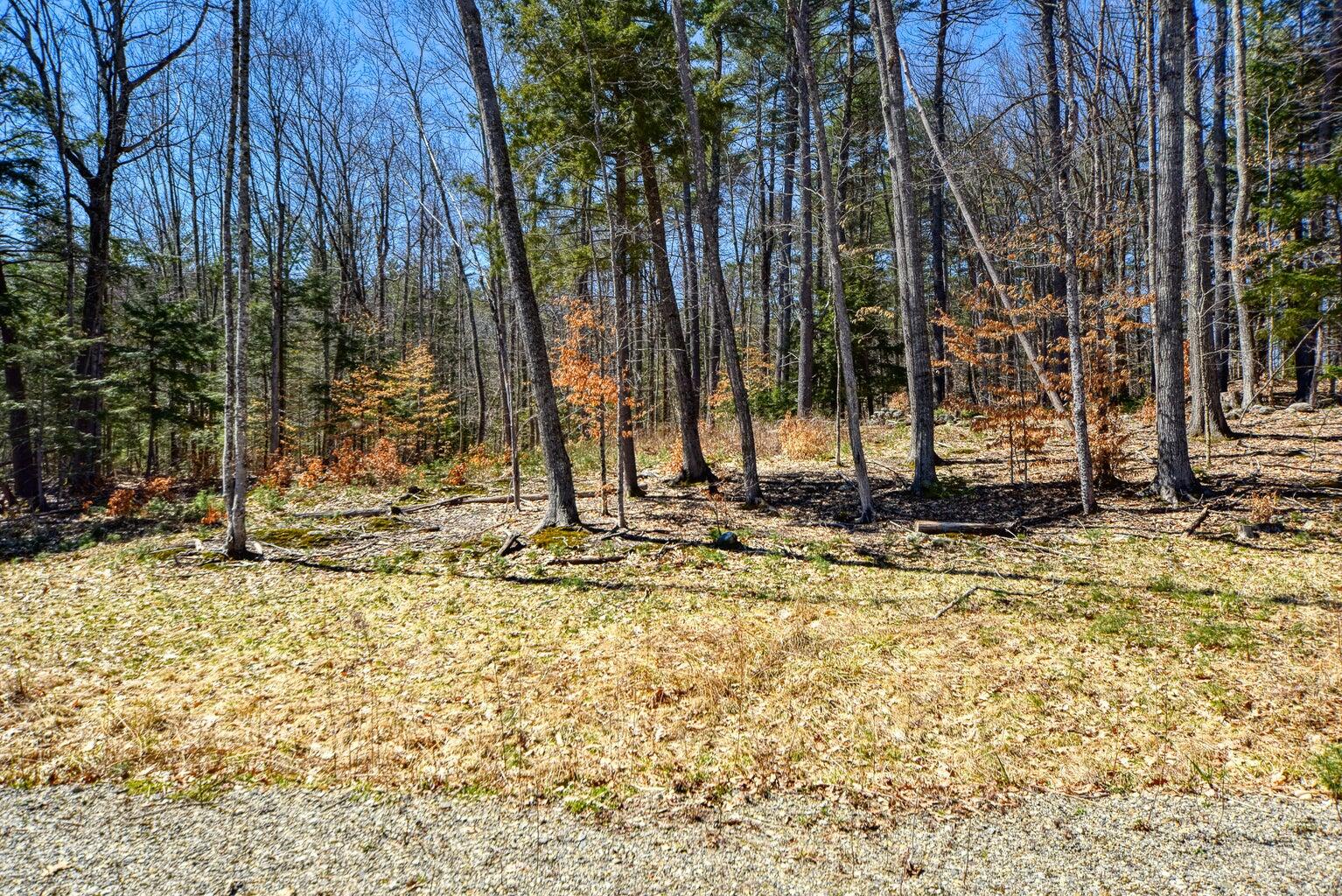 0 Route 9-126 Litchfield Drive Litchfield, ME 04350 - Photo 25 of 56 20230430203519291339000000-o