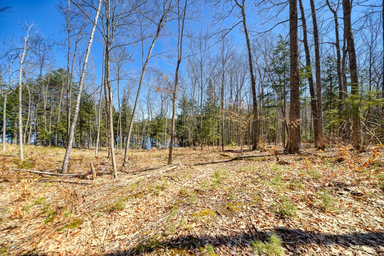 0 Route 9-126 Litchfield Drive Litchfield, ME 04350 - Photo 30 of 56 20230430203535400189000000-o