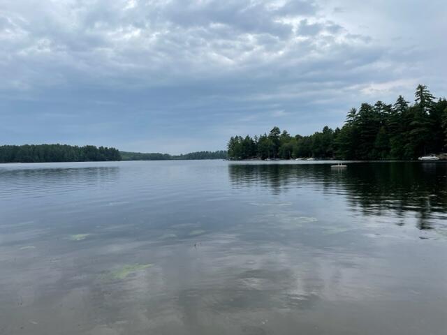 0 Route 9-126 Litchfield Drive Litchfield, ME 04350 - Photo 37 of 56 20230806143036907771000000-o