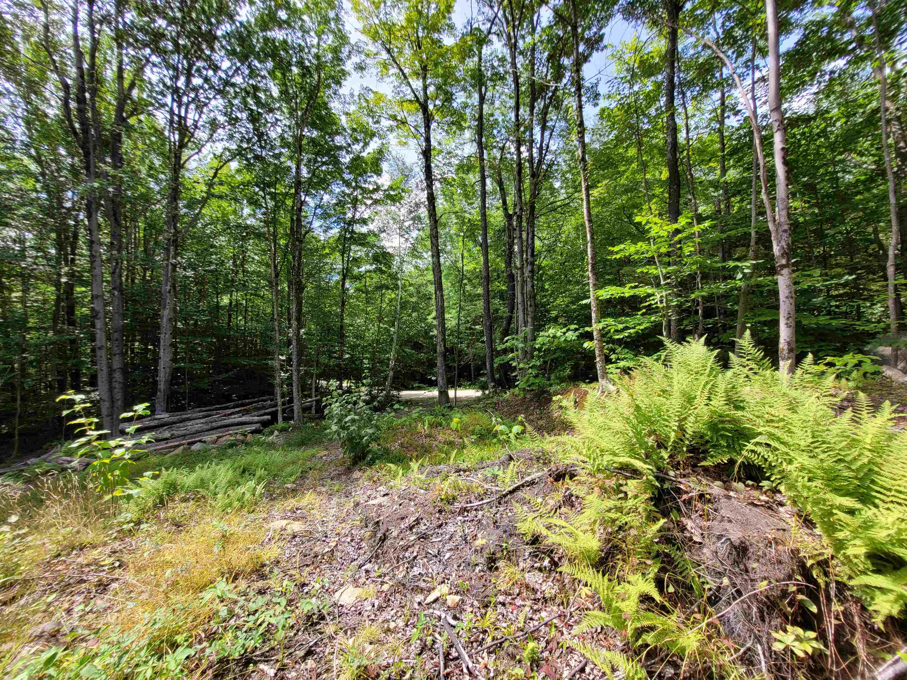 M111-l30 Fox Hill Road Stoddard, NH 03464 - Photo 11 of 38 Gallery Image 11