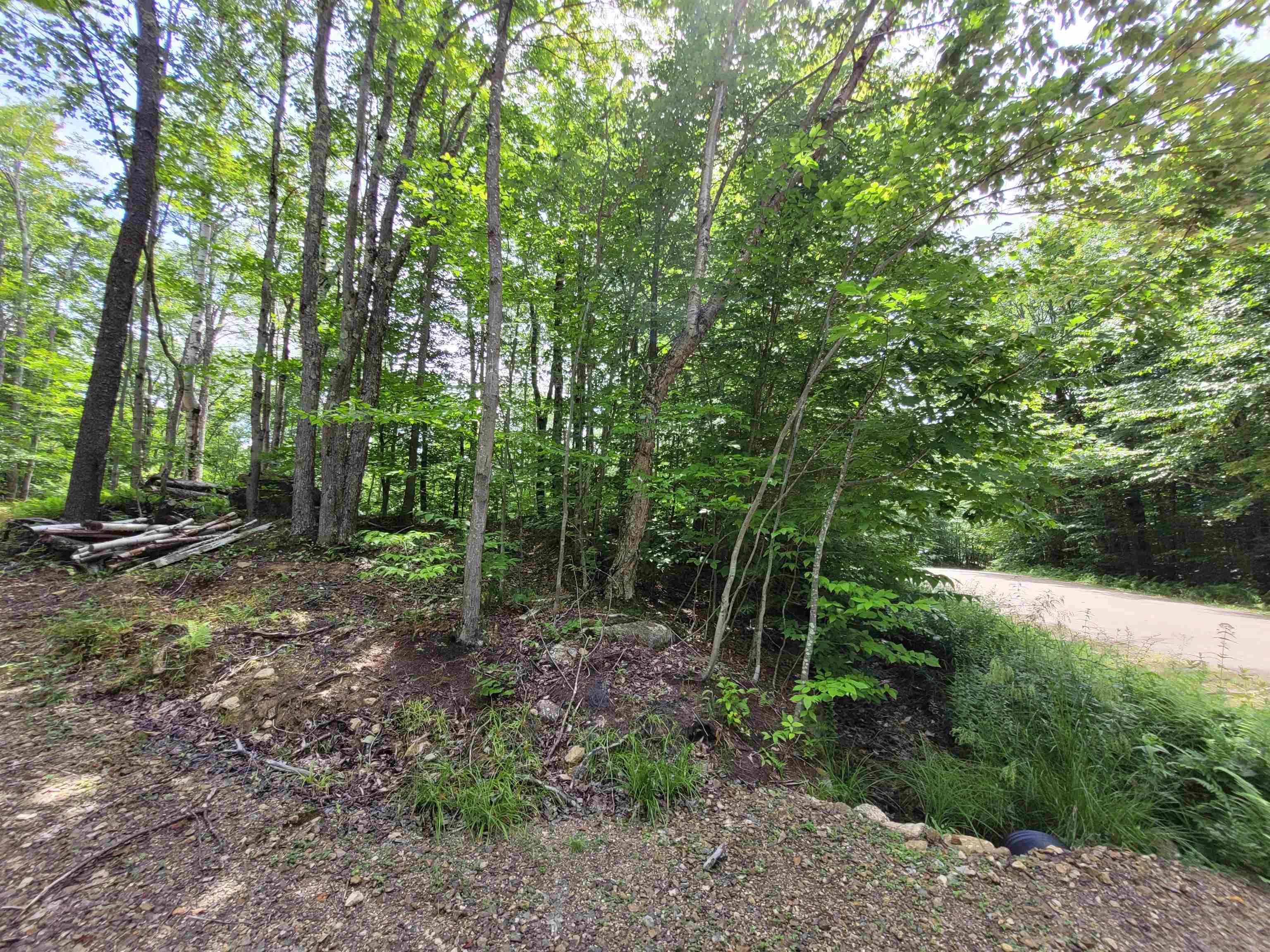 M111-l30 Fox Hill Road Stoddard, NH 03464 - Photo 14 of 38 Gallery Image 14