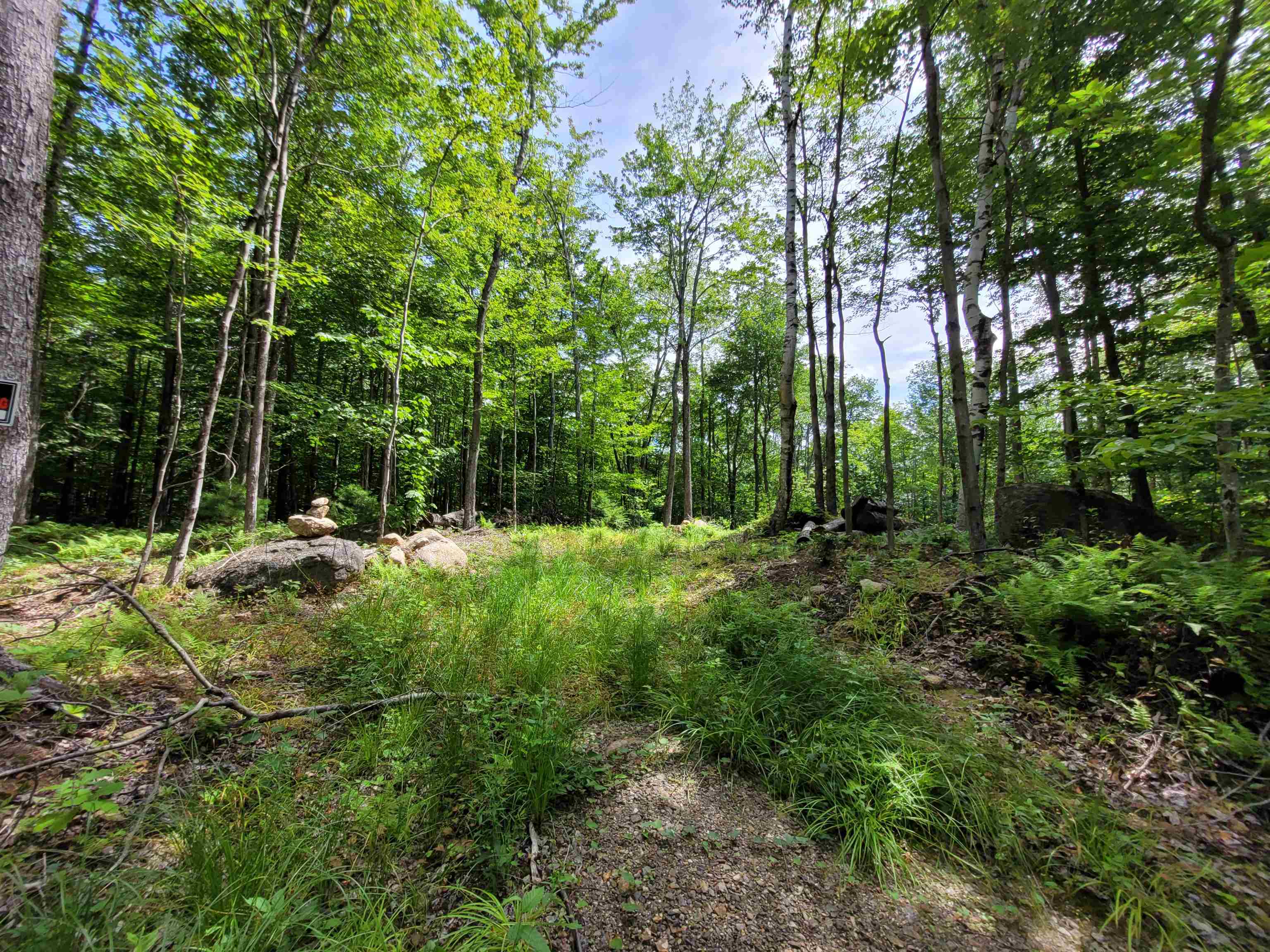 M111-l30 Fox Hill Road Stoddard, NH 03464 - Photo 15 of 38 Gallery Image 15