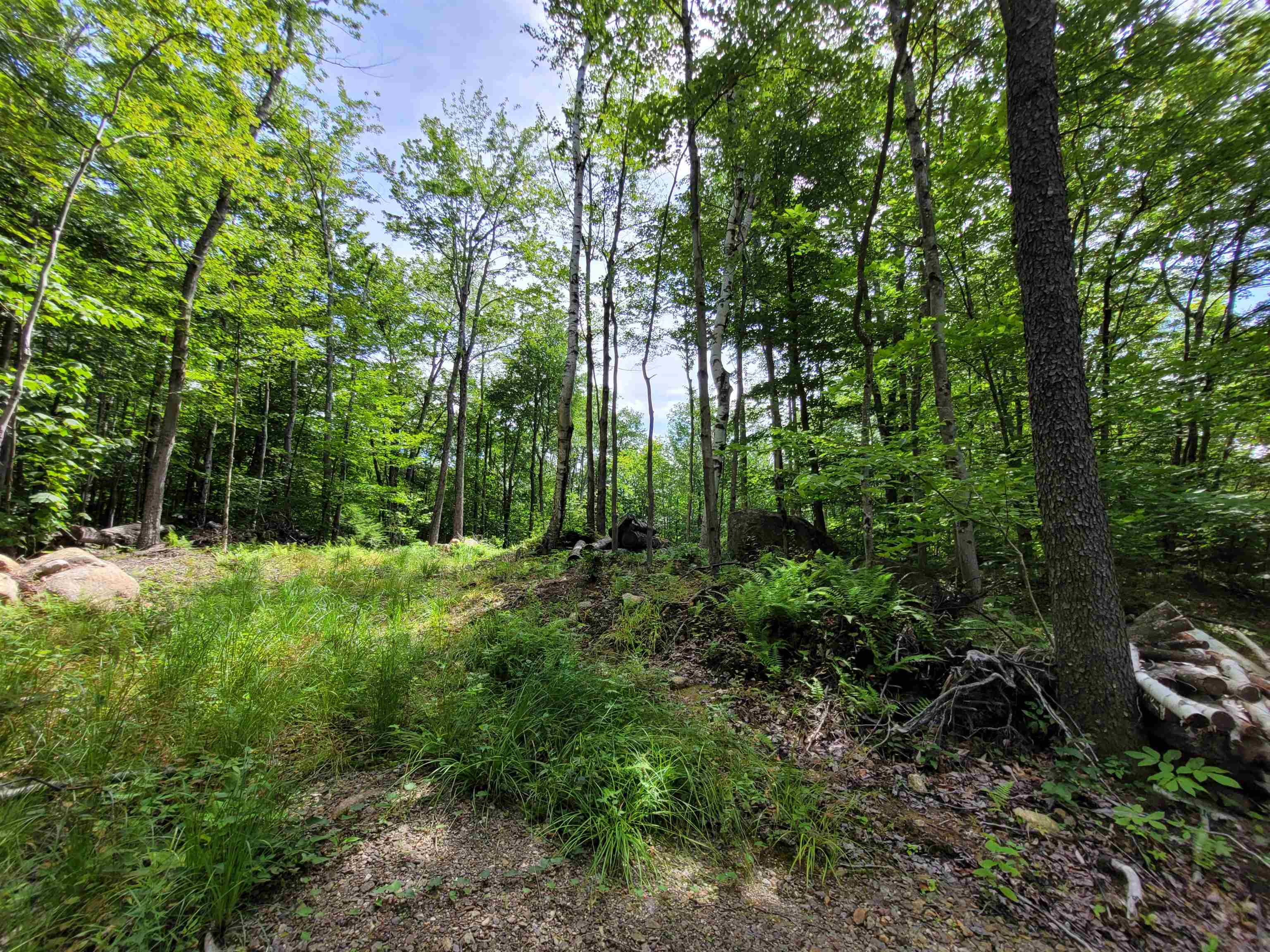 M111-l30 Fox Hill Road Stoddard, NH 03464 - Photo 16 of 38 Gallery Image 16
