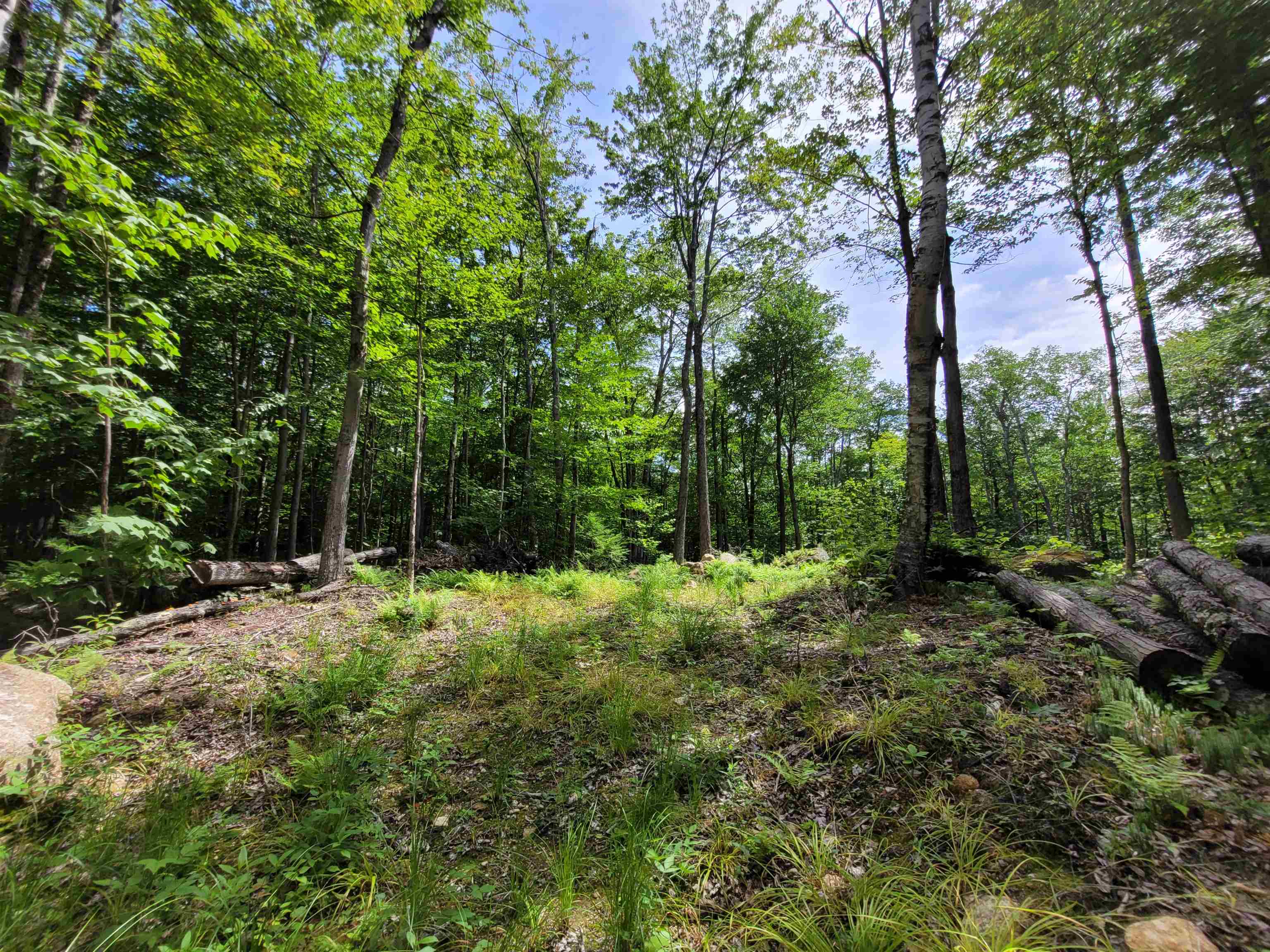 M111-l30 Fox Hill Road Stoddard, NH 03464 - Photo 17 of 38 Gallery Image 17