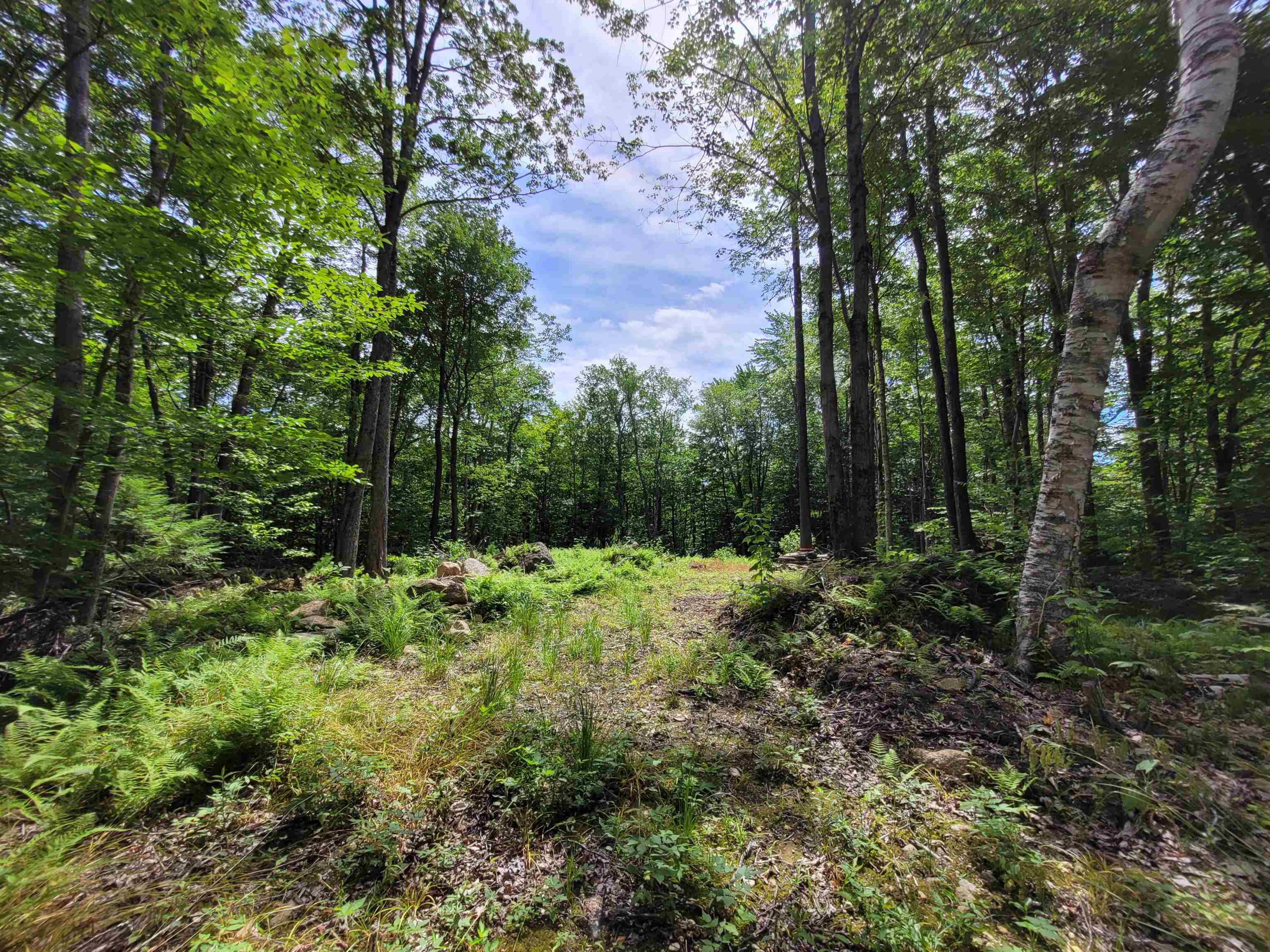 M111-l30 Fox Hill Road Stoddard, NH 03464 - Photo 18 of 38 Gallery Image 18