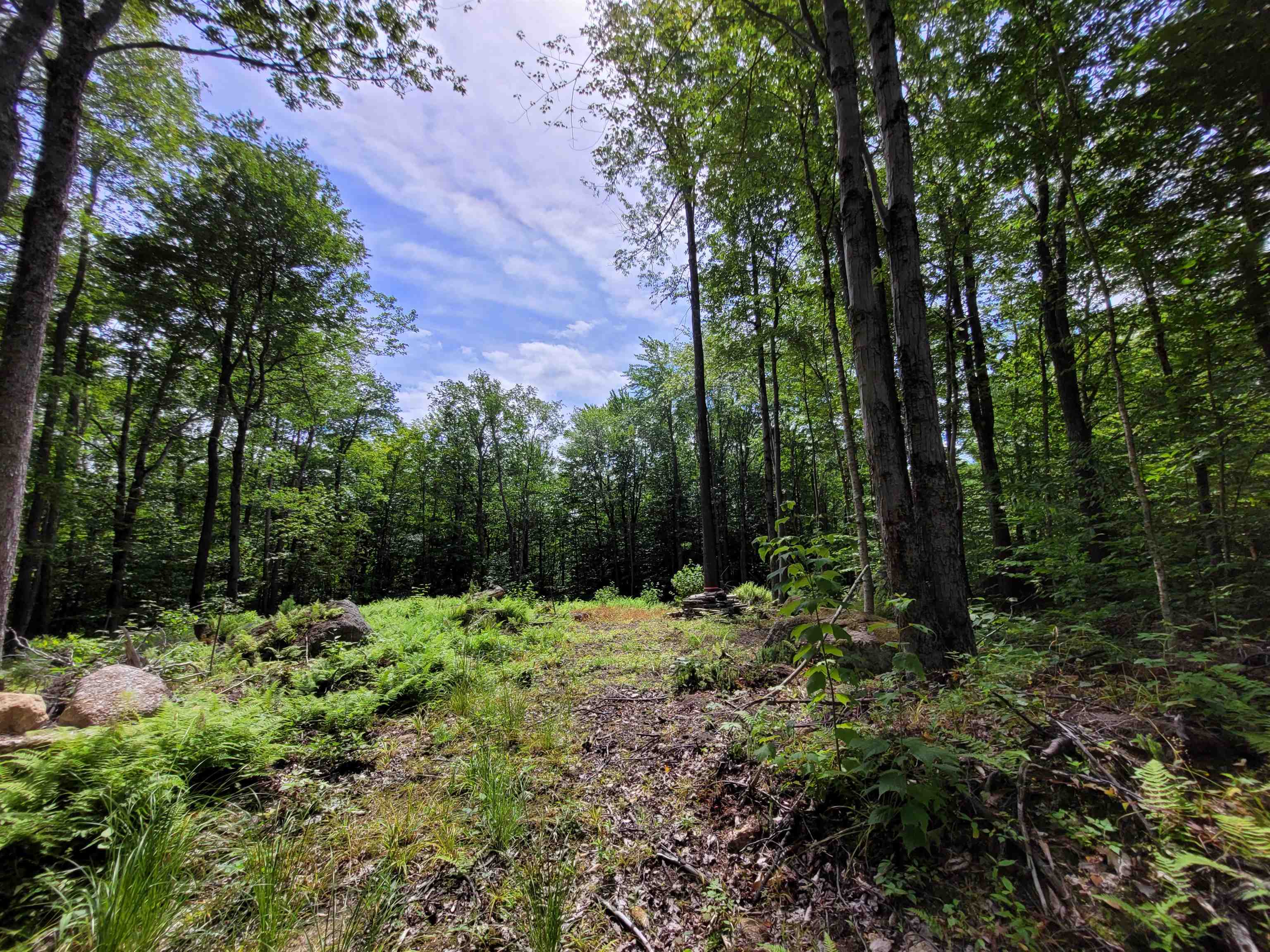 M111-l30 Fox Hill Road Stoddard, NH 03464 - Photo 20 of 38 Gallery Image 20