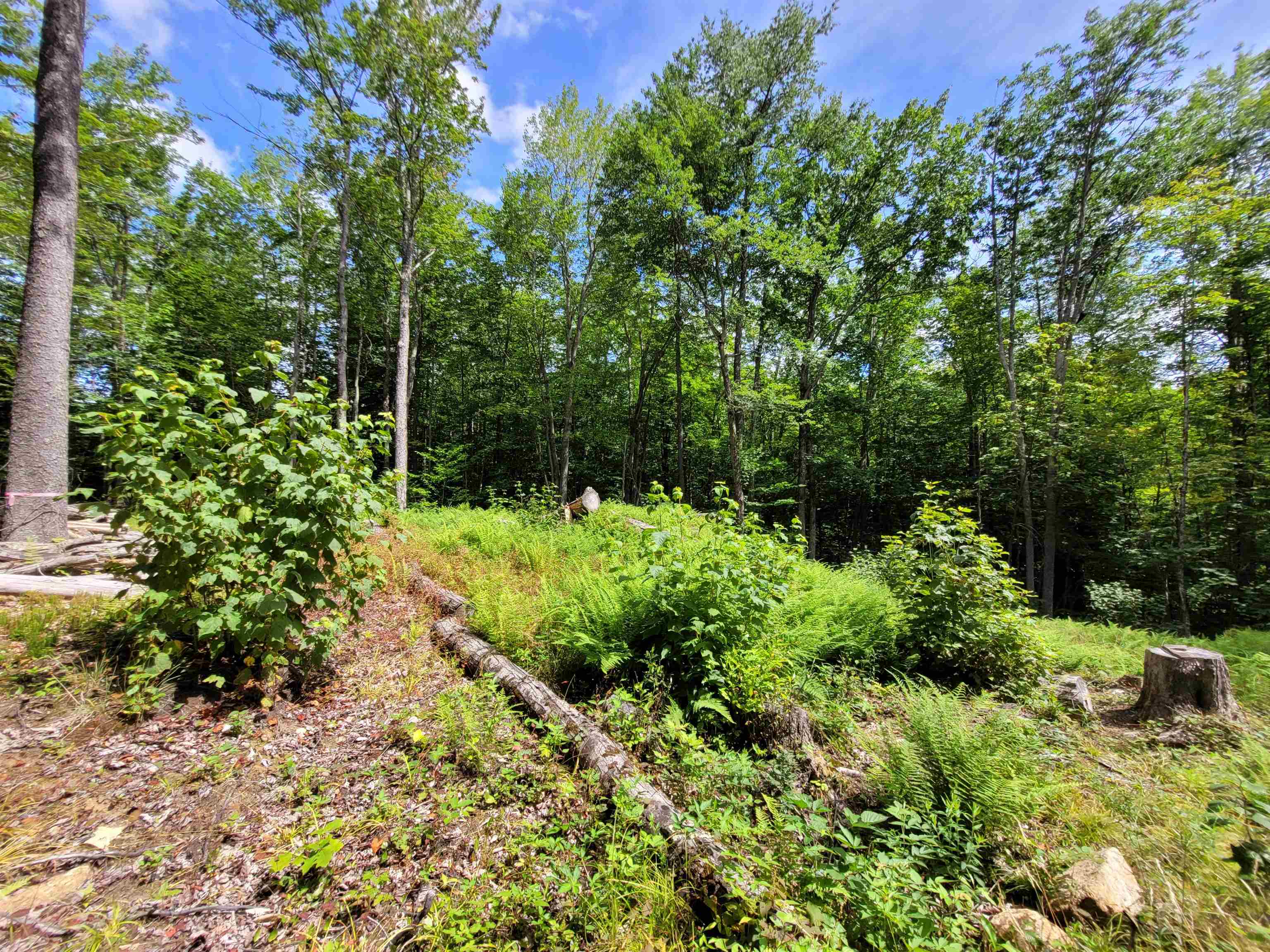 M111-l30 Fox Hill Road Stoddard, NH 03464 - Photo 24 of 38 Gallery Image 24