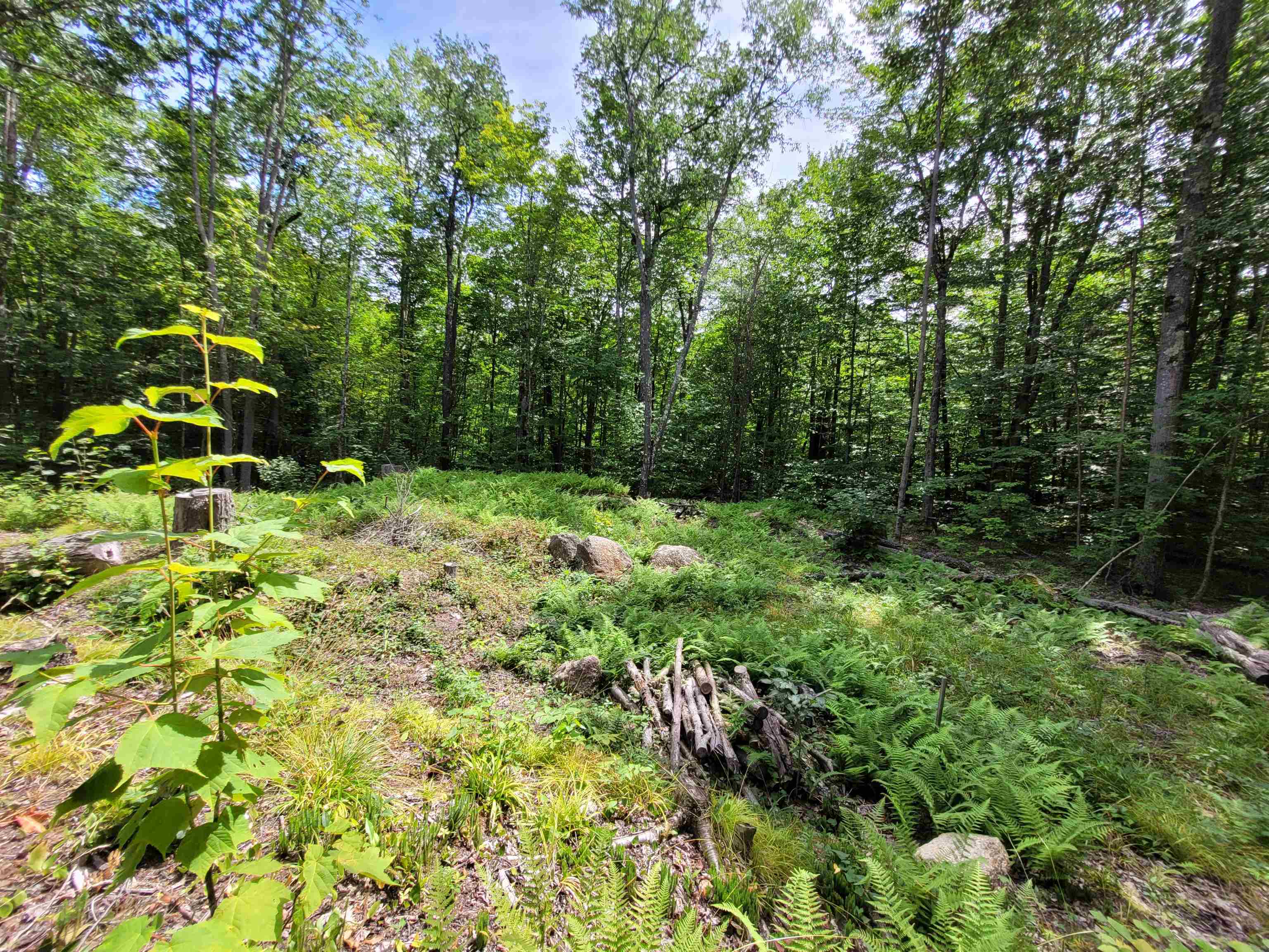 M111-l30 Fox Hill Road Stoddard, NH 03464 - Photo 34 of 38 Gallery Image 34