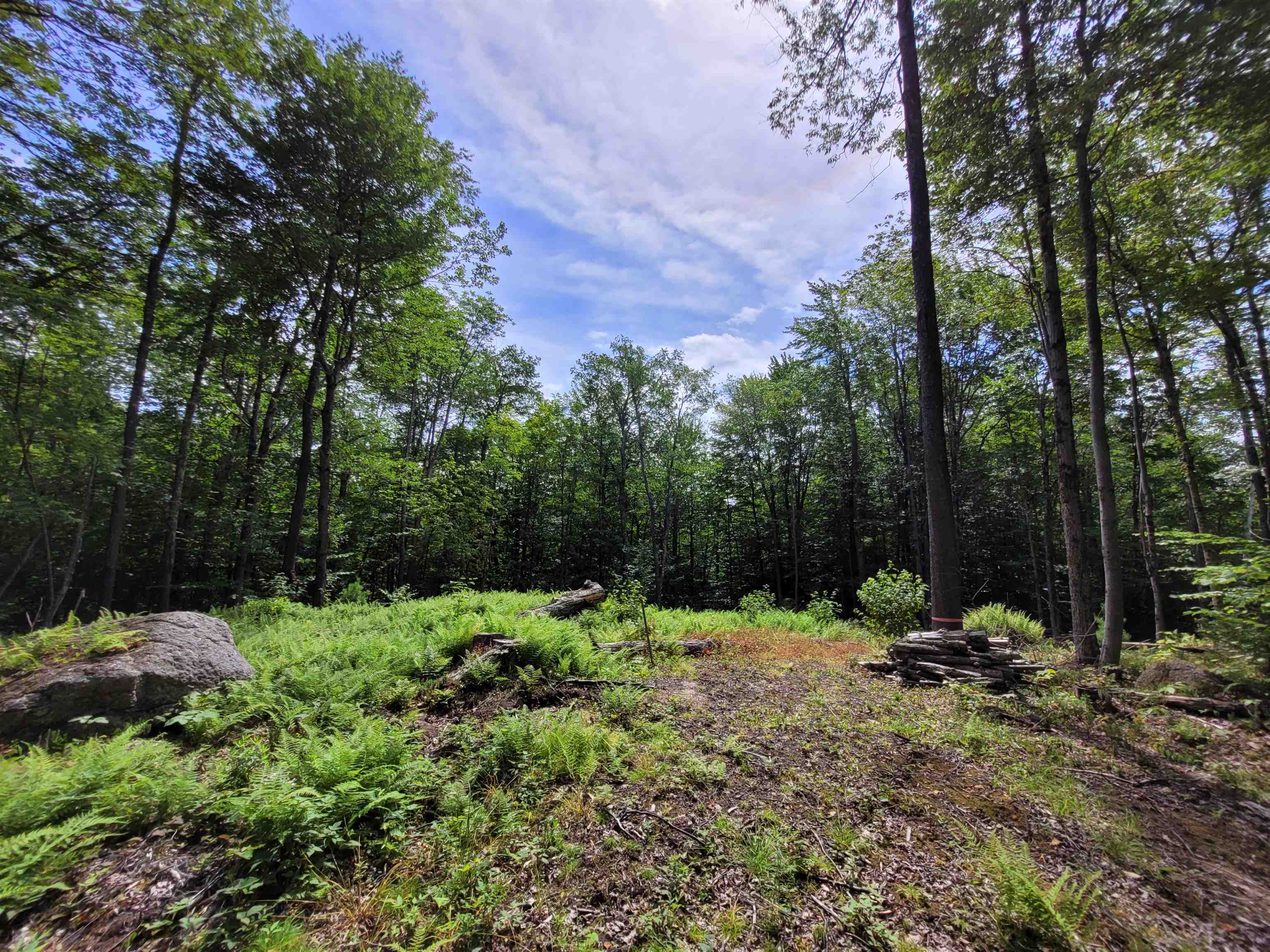 M111-l30 Fox Hill Road Stoddard, NH 03464 - Photo 5 of 38 Gallery Image 5