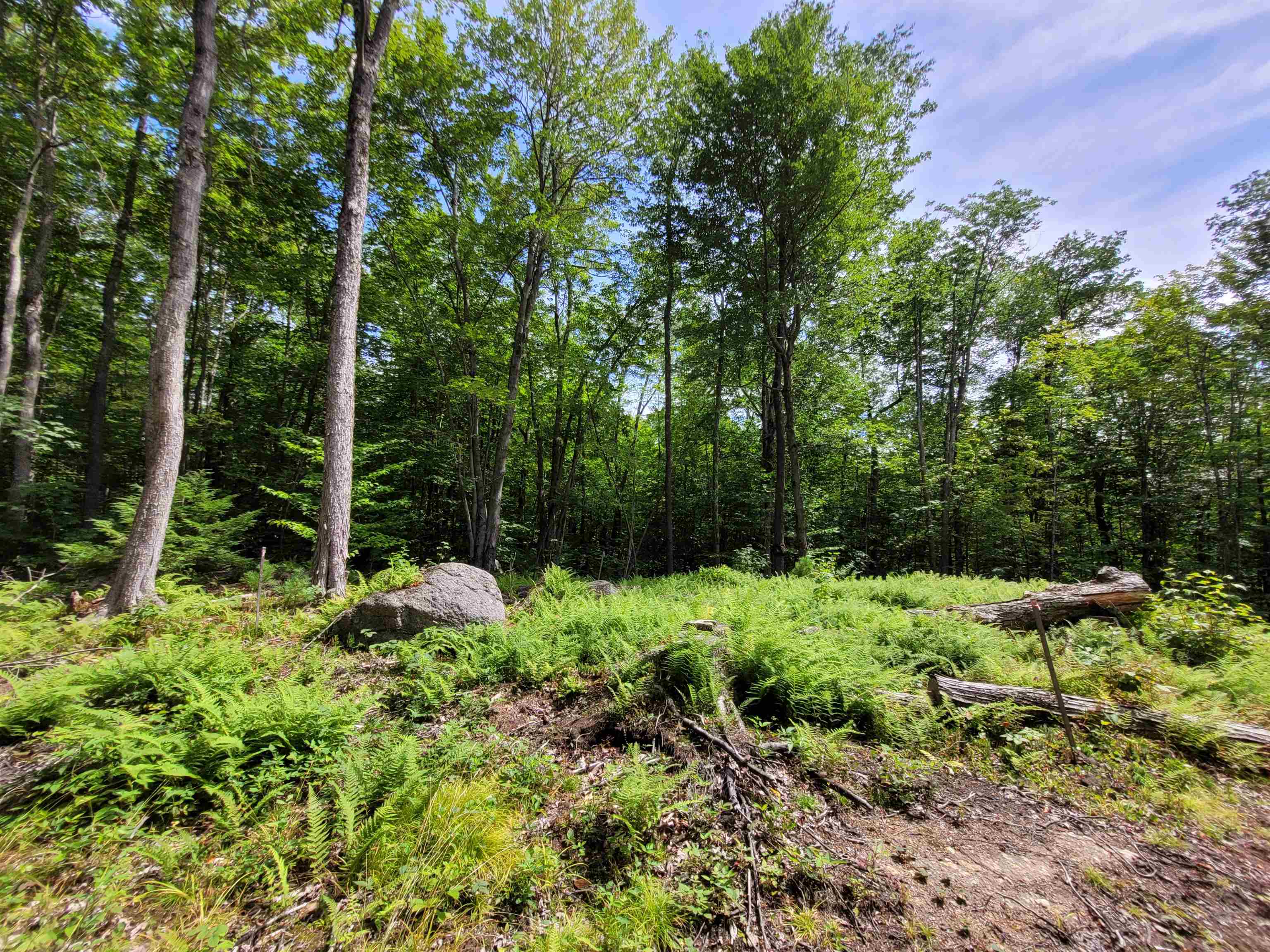 M111-l30 Fox Hill Road Stoddard, NH 03464 - Photo 6 of 38 Gallery Image 6
