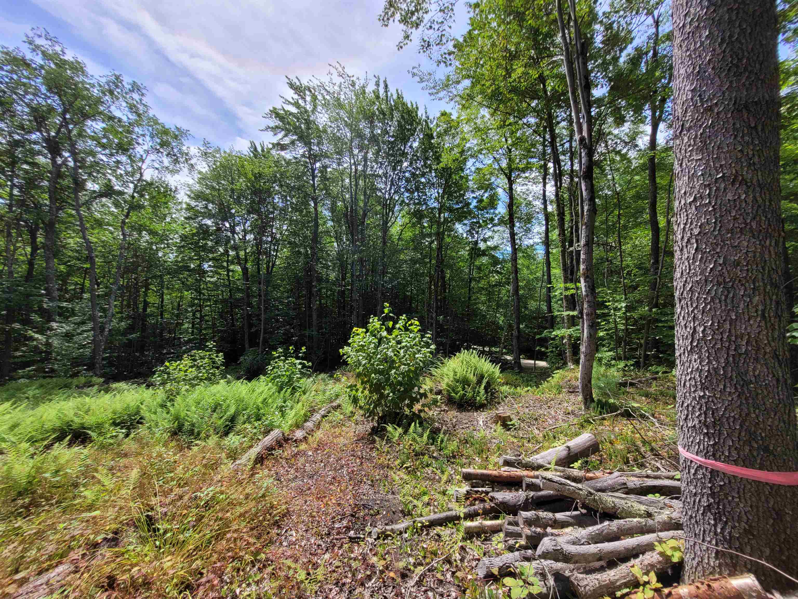M111-l30 Fox Hill Road Stoddard, NH 03464 - Photo 8 of 38 Gallery Image 8