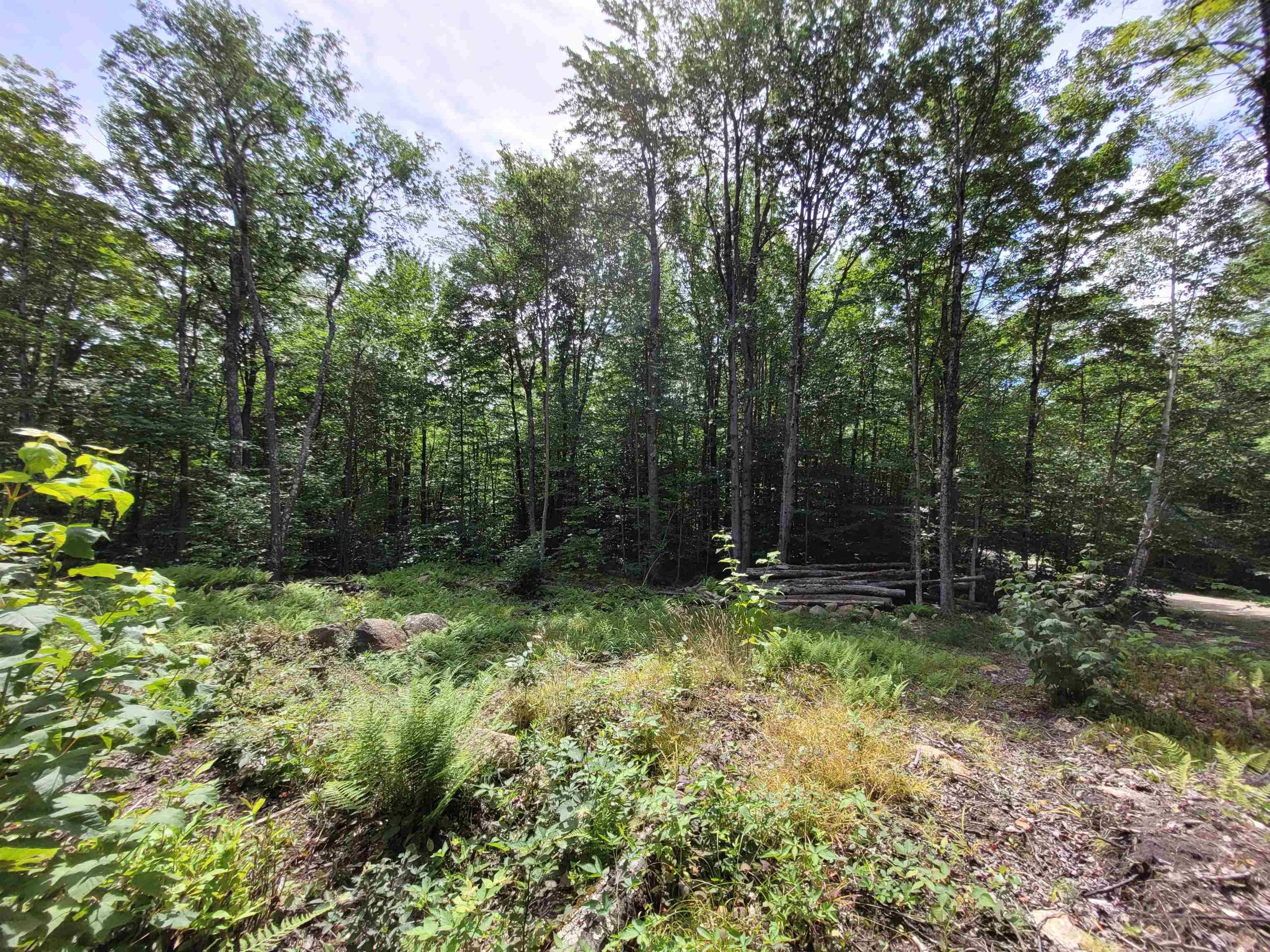 M111-l30 Fox Hill Road Stoddard, NH 03464 - Photo 10 of 38 Gallery Image 10