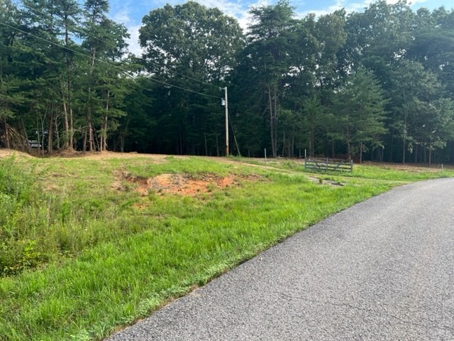 7196 Drag Strip Road Kingston Springs, TN 37082 - Photo 33 of 54 a view of a backyard with large trees