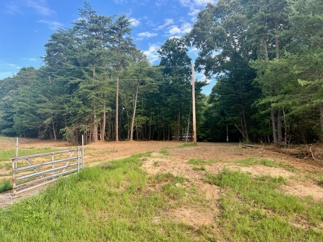 7196 Drag Strip Road Kingston Springs, TN 37082 - Photo 35 of 54 a view of a yard with a house and large trees