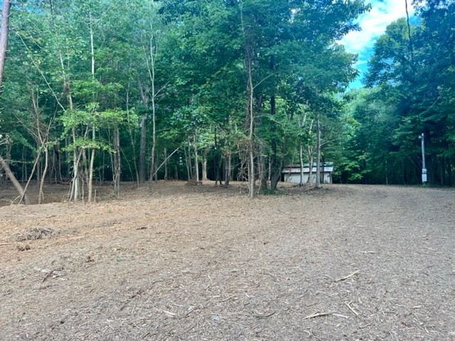7196 Drag Strip Road Kingston Springs, TN 37082 - Photo 42 of 54 a view of backyard with green space