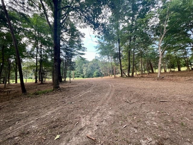 7196 Drag Strip Road Kingston Springs, TN 37082 - Photo 47 of 54 a view of outdoor space with trees