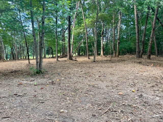 7196 Drag Strip Road Kingston Springs, TN 37082 - Photo 50 of 54 a view of outdoor space with trees