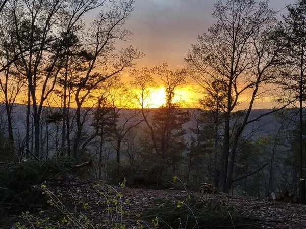 $110,000 | 5400 Old State Road, Unit 2, Menlo, GA 30731