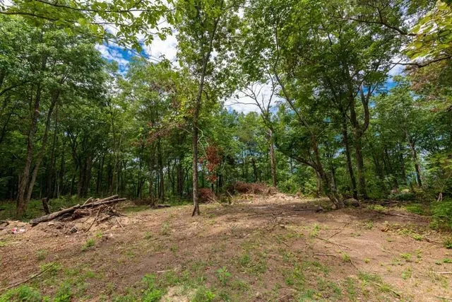 $110,000 | 5400 Old State Road, Unit 2, Menlo, GA 30731