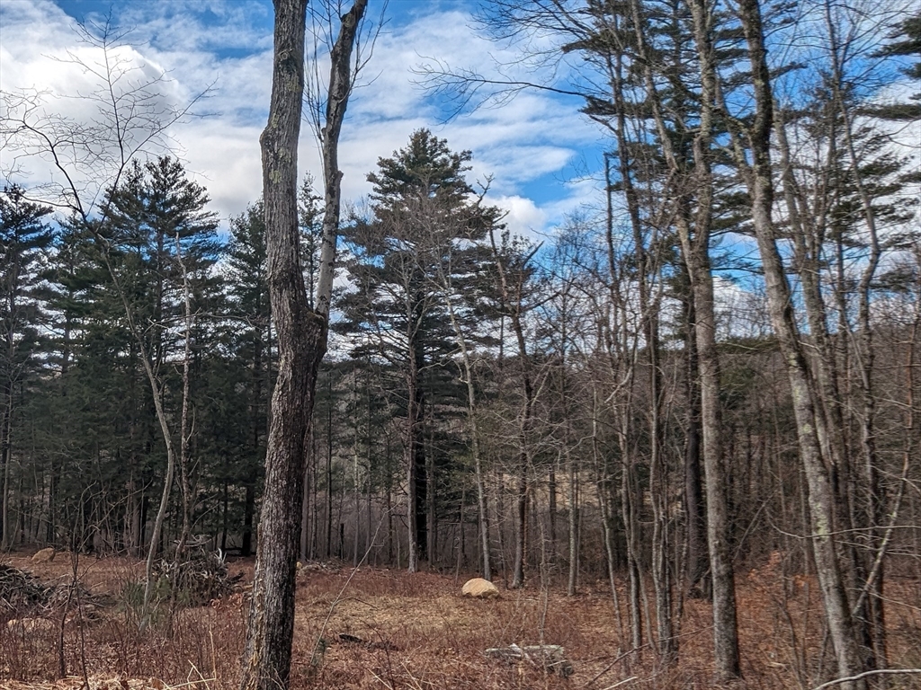 Lot 5-510 Old County Road Wales, MA 01081 - Photo 22 of 31