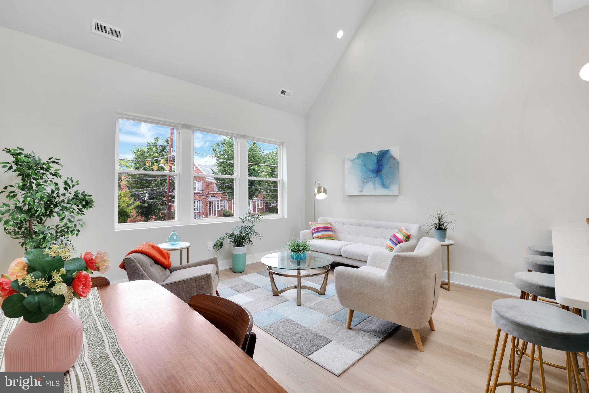 4019 9th Street Northeast, Unit 2 Washington, DC 20017 - Photo 7 of 27 a living room with furniture and a potted plant