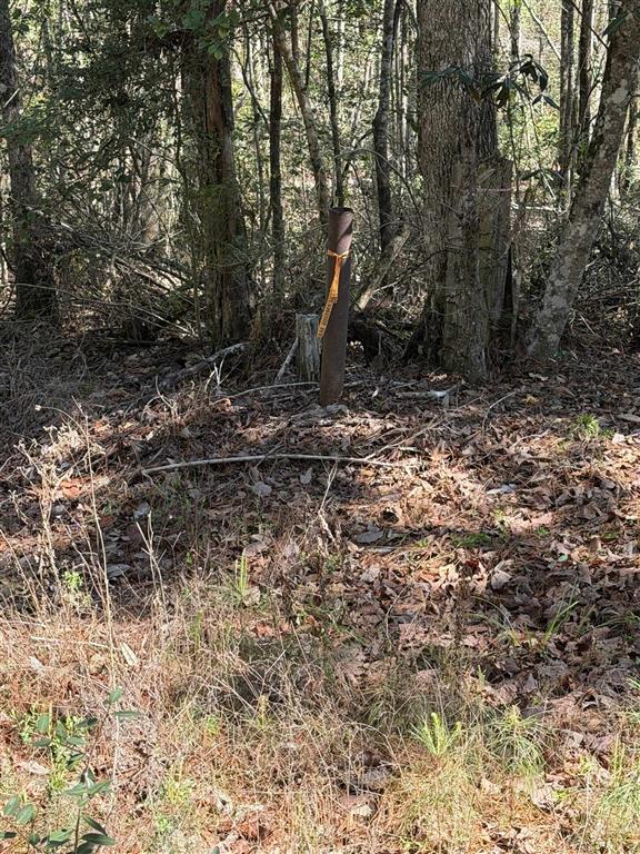 Simmons Road Deridder, LA 70634 - Photo 2 of 2