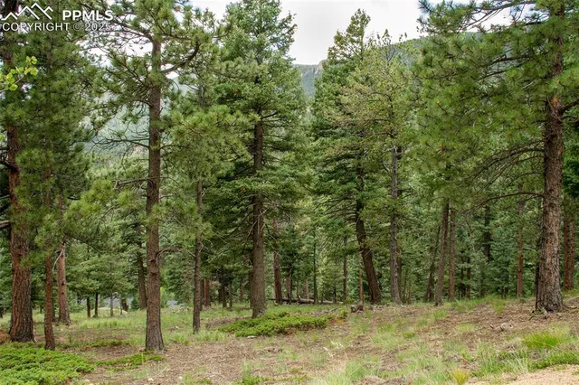 a view of an outdoor space