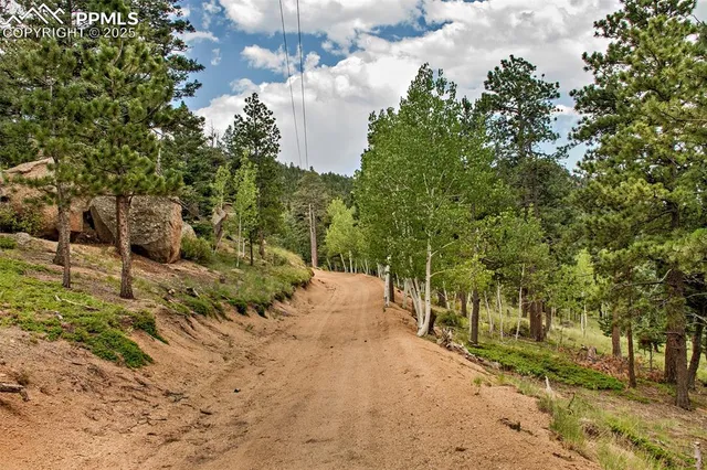 a view of an outdoor space with yard