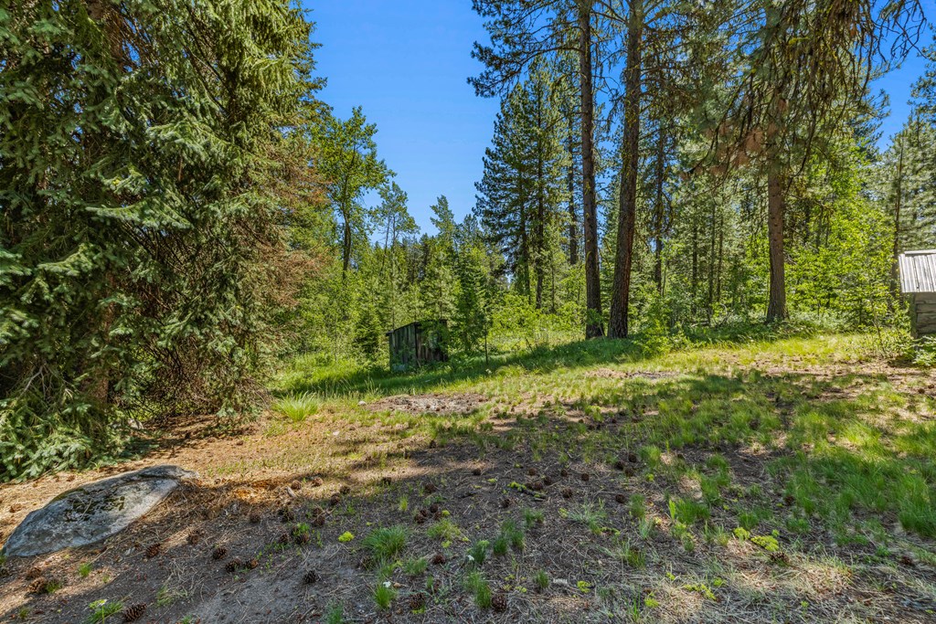 1105 Knowles Road McCall, ID 83638 - Photo 11 of 43