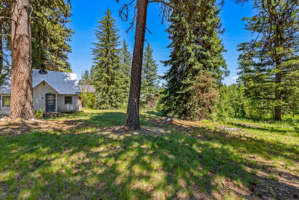 1105 Knowles Road McCall, ID 83638 - Photo 13 of 43