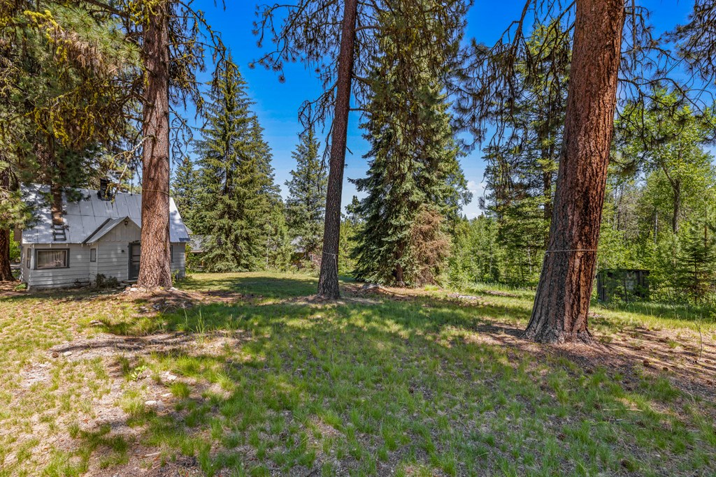 1105 Knowles Road McCall, ID 83638 - Photo 14 of 43