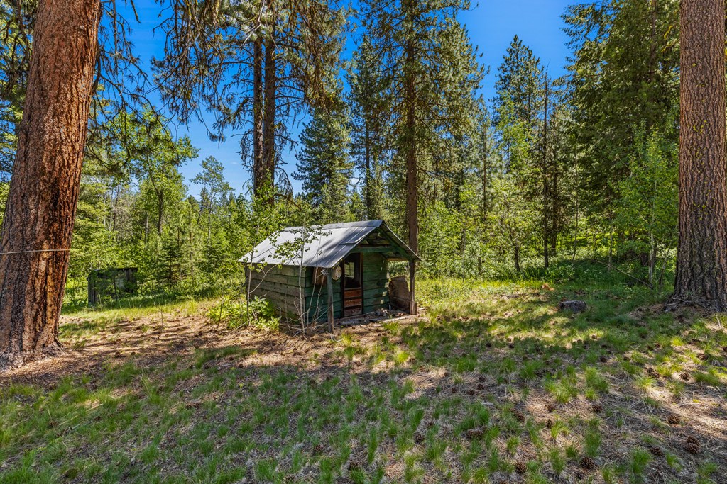 1105 Knowles Road McCall, ID 83638 - Photo 15 of 43