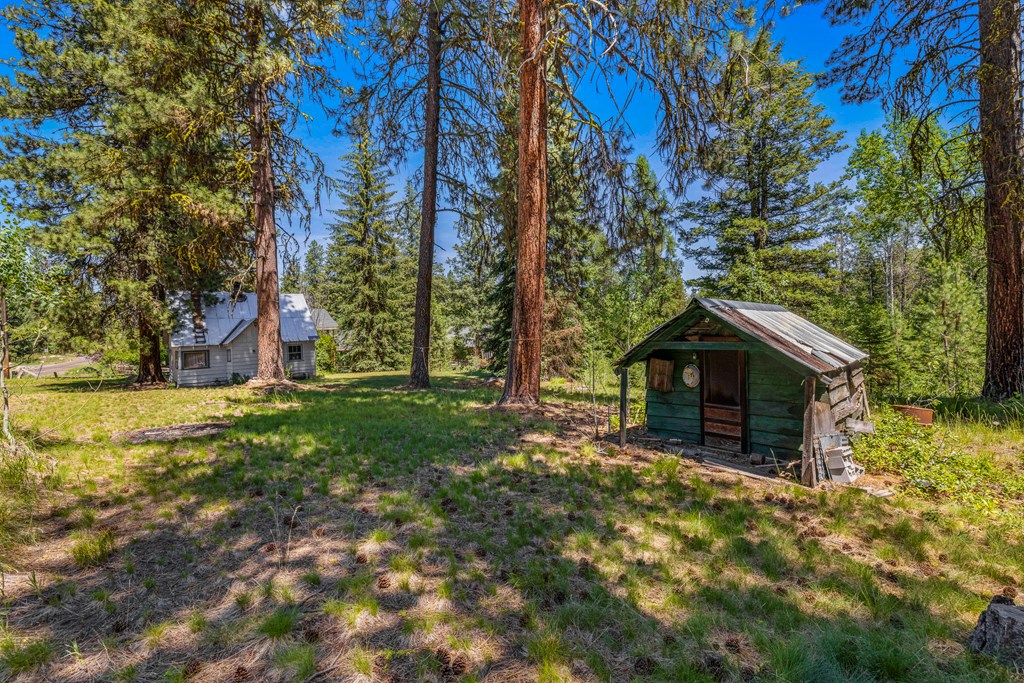 1105 Knowles Road McCall, ID 83638 - Photo 16 of 43