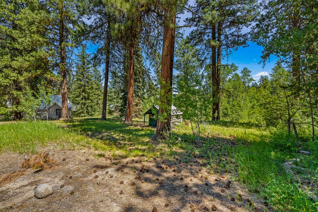 1105 Knowles Road McCall, ID 83638 - Photo 17 of 43
