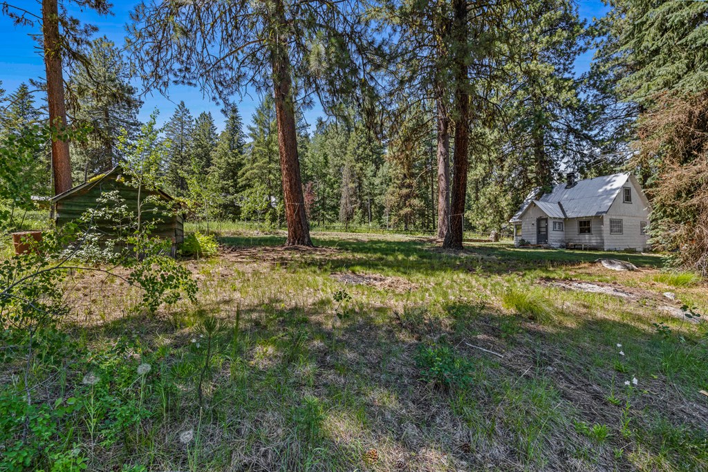 1105 Knowles Road McCall, ID 83638 - Photo 19 of 43