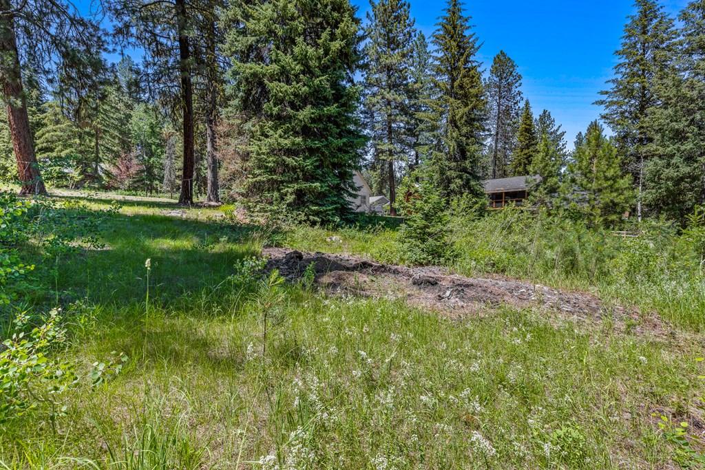 1105 Knowles Road McCall, ID 83638 - Photo 21 of 43