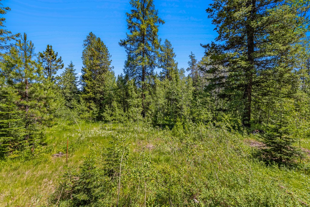 1105 Knowles Road McCall, ID 83638 - Photo 22 of 43