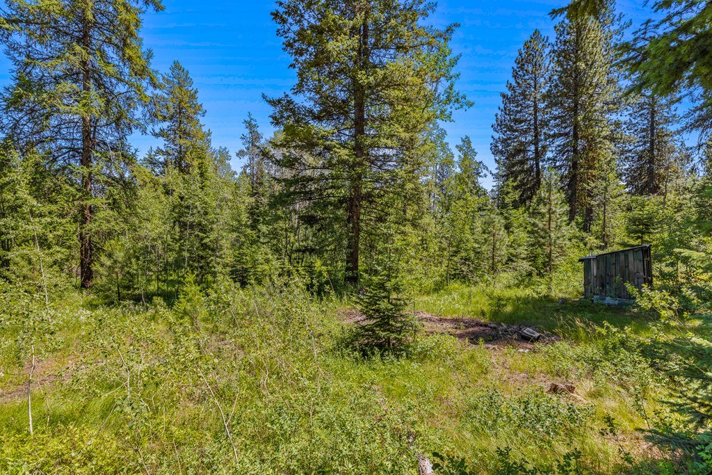 1105 Knowles Road McCall, ID 83638 - Photo 23 of 43