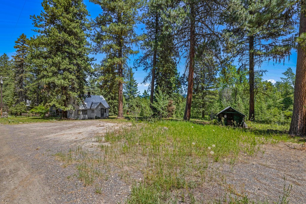1105 Knowles Road McCall, ID 83638 - Photo 25 of 43