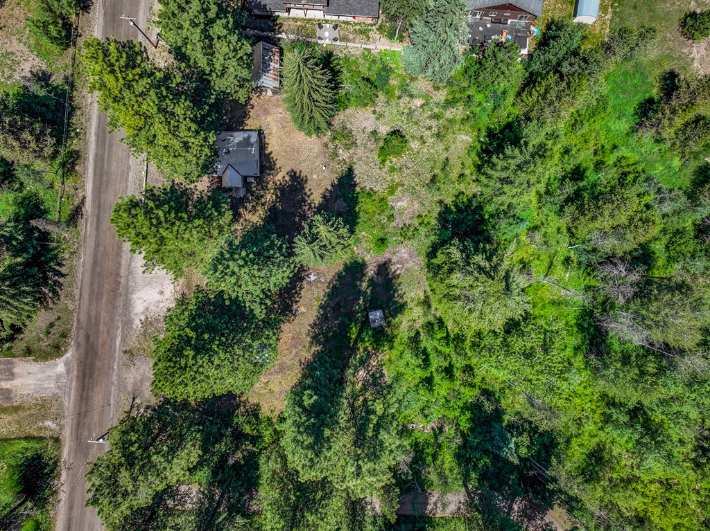 1105 Knowles Road McCall, ID 83638 - Photo 27 of 43