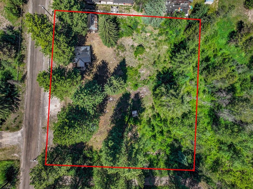 1105 Knowles Road McCall, ID 83638 - Photo 28 of 43