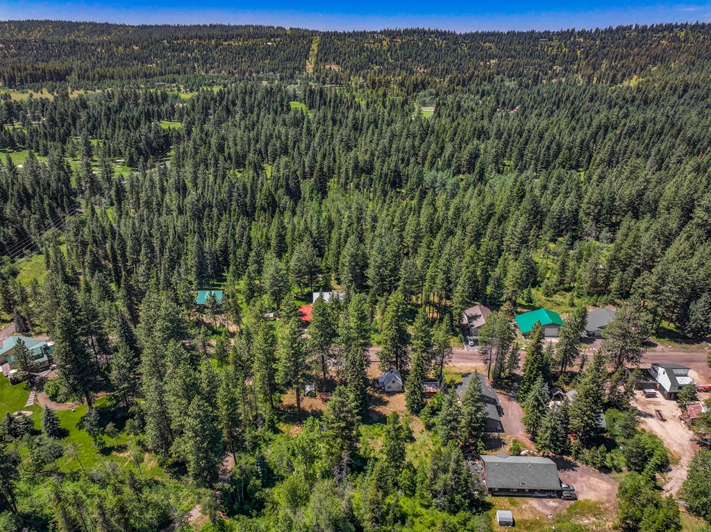 1105 Knowles Road McCall, ID 83638 - Photo 33 of 43