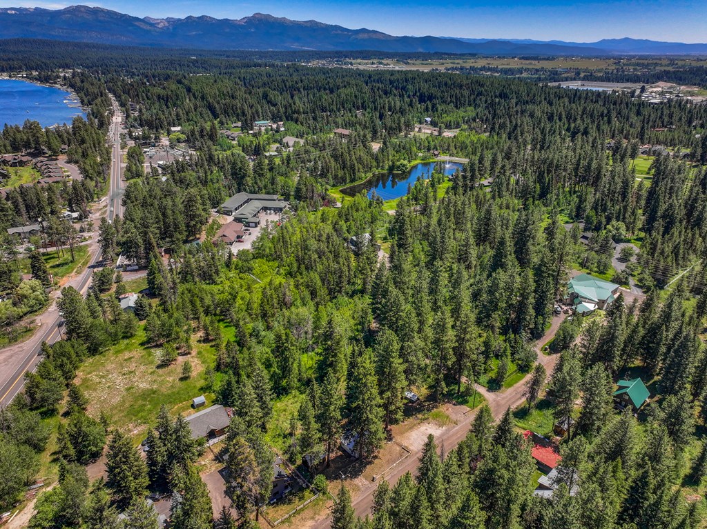 1105 Knowles Road McCall, ID 83638 - Photo 38 of 43
