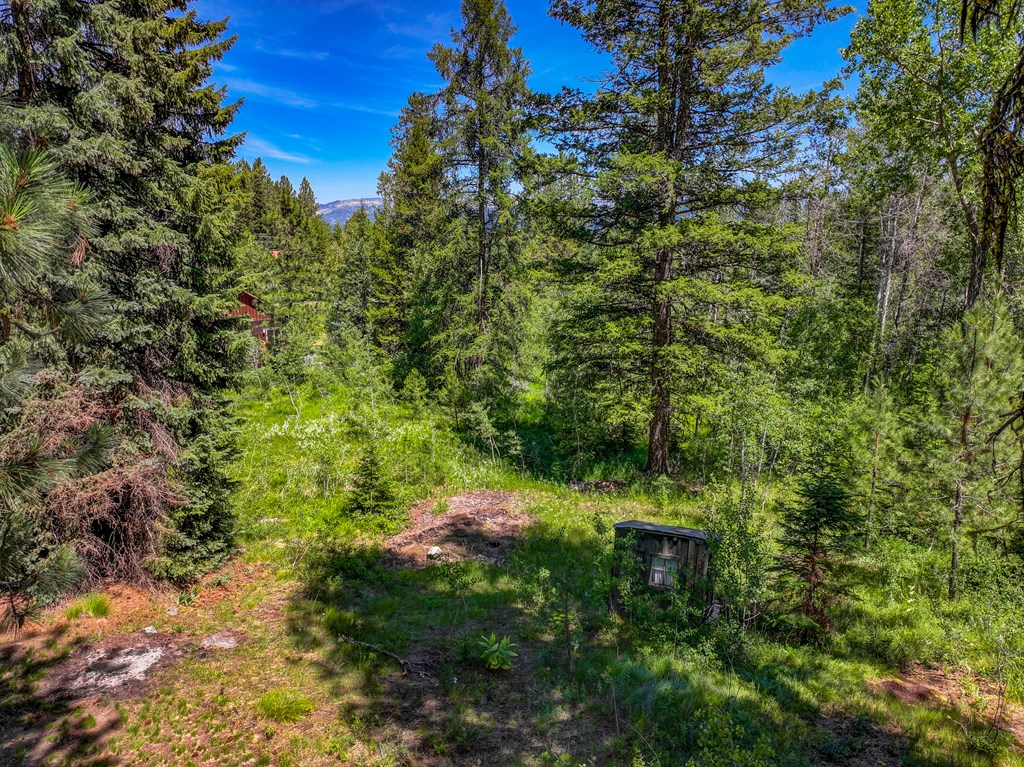 1105 Knowles Road McCall, ID 83638 - Photo 42 of 43