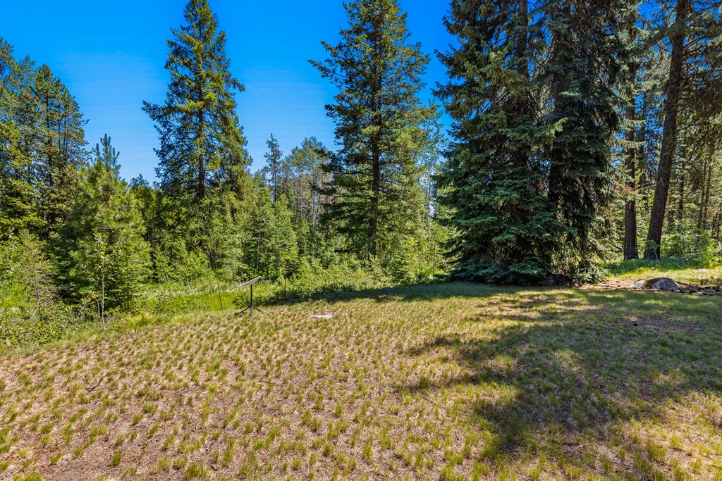 1105 Knowles Road McCall, ID 83638 - Photo 9 of 43