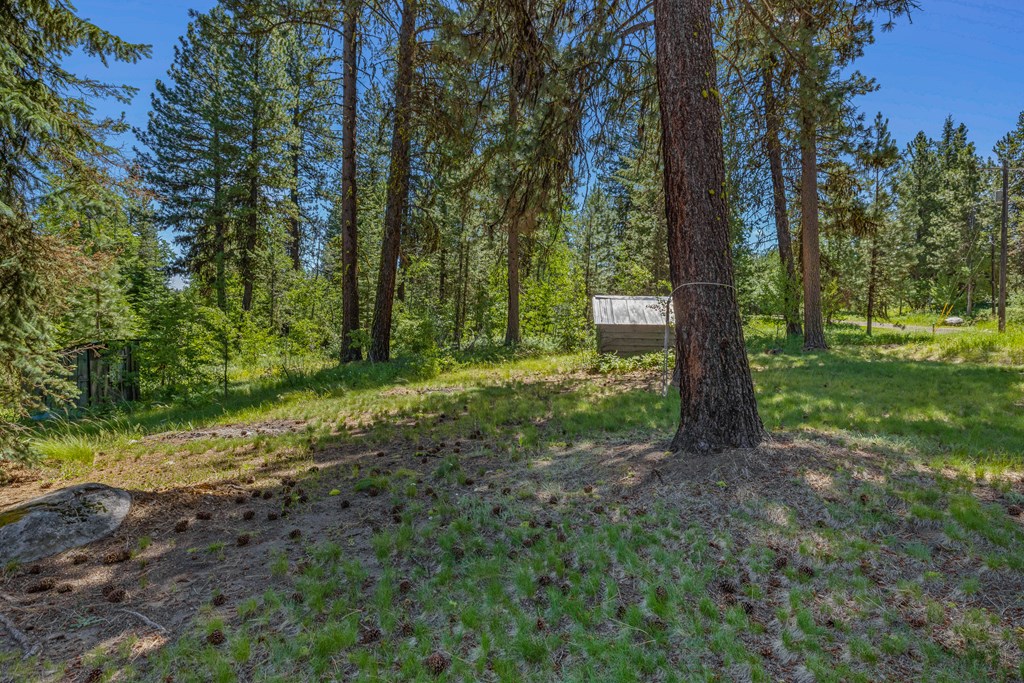 1105 Knowles Road McCall, ID 83638 - Photo 10 of 43