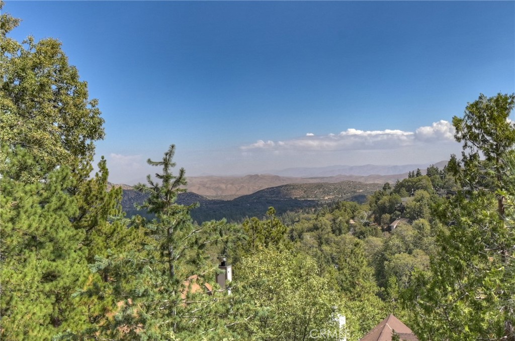 1219 Klondike Drive Lake Arrowhead, CA 92352 - Photo 35 of 37 a view of a bunch of trees and bushes