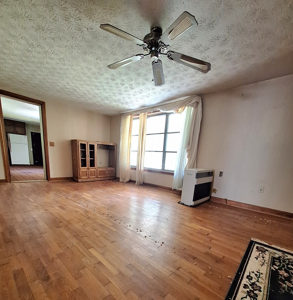 333 Lickskillet Road Epworth, GA 30541 - Photo 7 of 32 an empty room with windows and ceiling fan