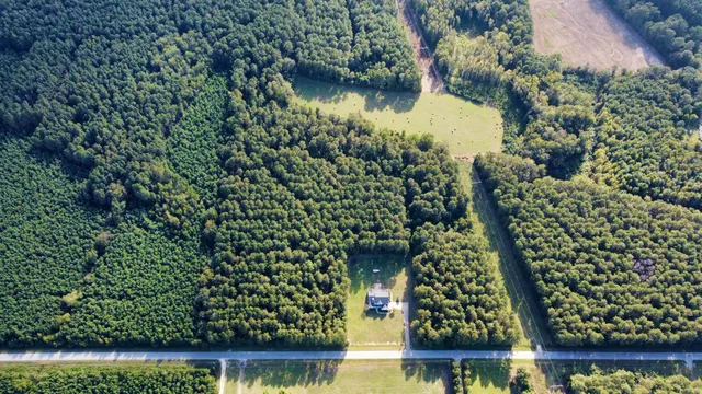 $749,900 | 515 County Rd S-18-48, St. George, SC 29477