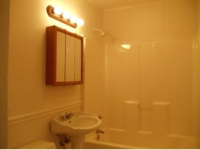 153 Tilson Road Limestone, TN 37681 - Photo 13 of 24 Downstairs Bath